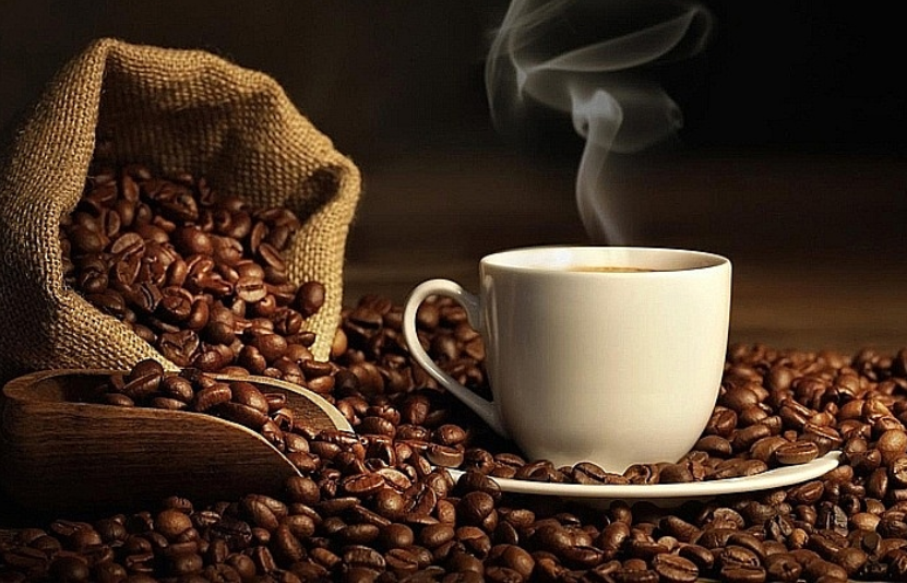 tin tức c&agrave; ph&ecirc;